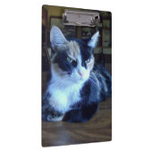 Meow Cats 24クリップボード クリップボード (右)