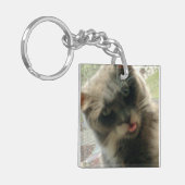 Meow Cats 2 Squareアクリルキーチェーン キーホルダー (正面左)