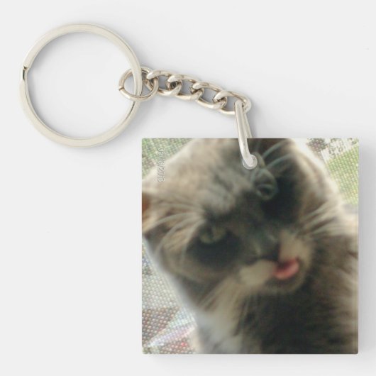 Meow Cats 2 Squareアクリルキーチェーン キーホルダー (正面)