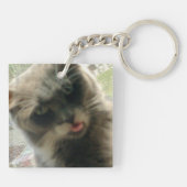 Meow Cats 2 Squareアクリルキーチェーン キーホルダー (裏面)