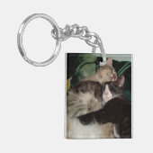 Meow Cats 3角形アクリルキーチェーン キーホルダー (正面左)