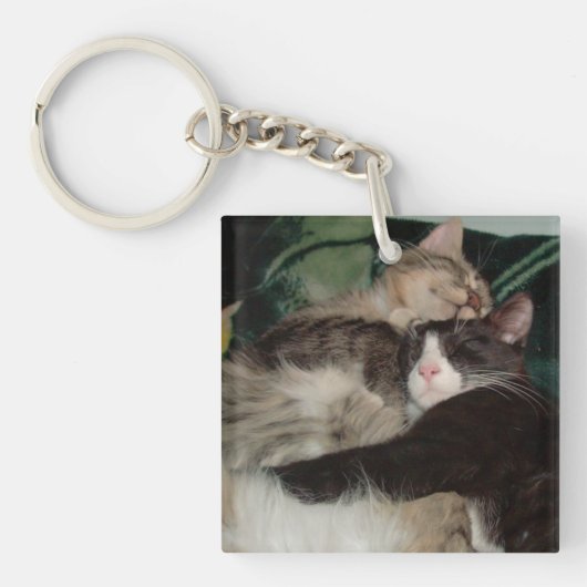 Meow Cats 3角形アクリルキーチェーン キーホルダー (正面)