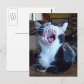 Meow Cats 30ポストカード ポストカード (正面/裏面)