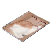 Meow Cats 31ノートブック ノートブック (左側)