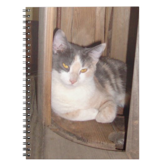 Meow Cats 33ノートブック ノートブック (正面)