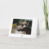 Meow Cats 3 Greeting Card カード (裏面)