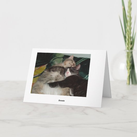 Meow Cats 3 Greeting Card カード (裏面)