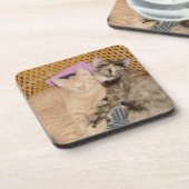 Meow Cats 6コースターセット コースター (左側)
