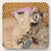 Meow Cats 6コースターセット コースター (正面)