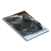 Meow Cats 8ノートブック ノートブック (右側)