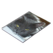 Meow Cats 8ノートブック ノートブック (左側)