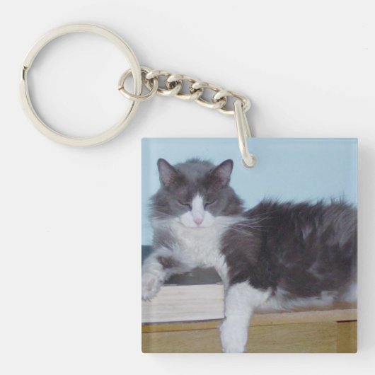 Meow Cats 9角形アクリルキーチェーン キーホルダー (正面)