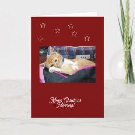 Meow Christmas ,photo, text,  replacable シーズンカード