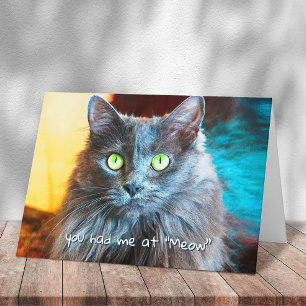 Meow Cute Gray Cat Photographyに参加はっきりした カード