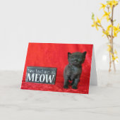 Meow - Pepper(別名ゼリー豆) カード (黄色い花)