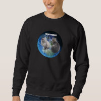 MEOW UNIVERSE