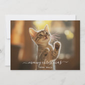 Meowyいけな Christmasキャットおもしろいオーバーレイ写真 シーズンカード (正面)