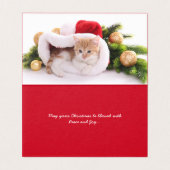 Meowyのクリスマス|かわいい猫の休日の写真 (内部フラット)