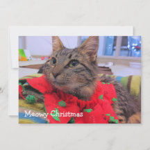 Meowyのクリスマス