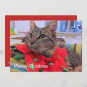 Meowyのクリスマス サンキューカード (正面/裏面)