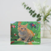 Meowyのクリスマス サンキューカード (スタンド正面)