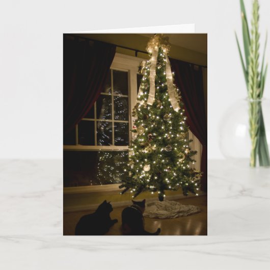 Meowyのクリスマス シーズンカード (正面)