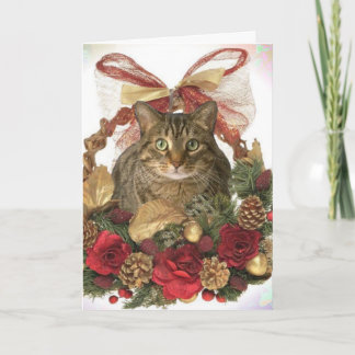 Meowyのクリスマス! シーズンカード