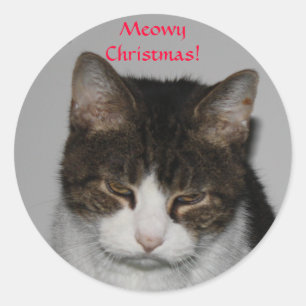 Meowyのクリスマス! -休日の挨拶のステッカー ラウンドシール