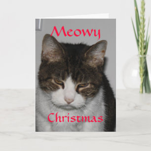 Meowyのクリスマス-猫の休日の挨拶状 シーズンカード
