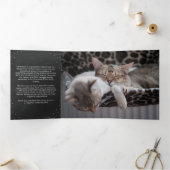 Meowyクリスマスフォトコラージュ猫シェルター 三つ折りクリスマスカード (内部)