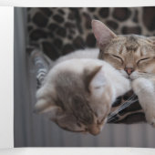 Meowyクリスマスフォトコラージュ猫シェルター 三つ折りクリスマスカード (内部中)