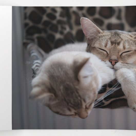 Meowyクリスマスフォトコラージュ猫シェルター 三つ折りクリスマスカード (内部中)