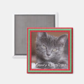 Meowyクリスマスフレームカスタマイズ可能子猫 マグネット (正面/裏面)
