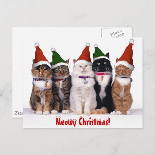 "Meowyクリスマス!" 猫 シーズンポストカード (正面/裏面)
