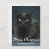 Meowyモダン Christmas Catクリスマスフォトカード (正面)