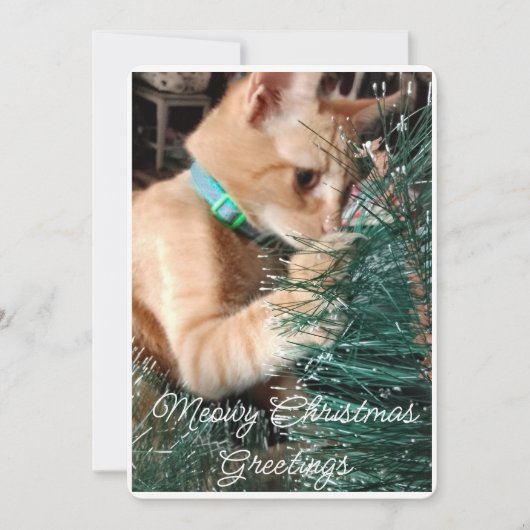 Meowy クリスマス グリーティング カスタム写真入り (正面)