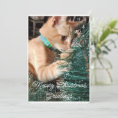 Meowy クリスマス グリーティング カスタム写真入り (スタンド正面)