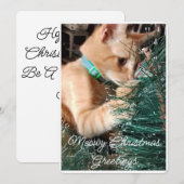 Meowy クリスマス グリーティング カスタム写真入り (正面/裏面)
