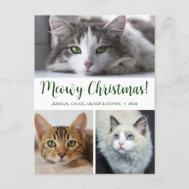 Meowy クリスマス 3 枚の写真