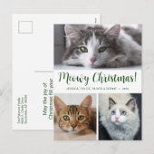 Meowy クリスマス 3 枚の写真 (正面/裏面)