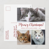 Meowy クリスマス 3 枚の写真 (正面/裏面)