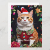 Meowy シーズンカード (正面/裏面)