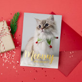 Meowy and Bright in金ゴールド 箔シーズンカード