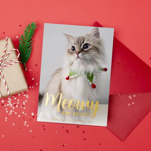 Meowy and Bright in金ゴールド 箔シーズンカード