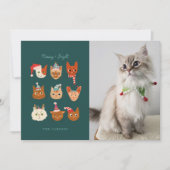 Meowy & Bright Winter Cats写真クリスマス シーズンカード (正面)