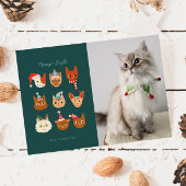Meowy & Bright Winter Cats写真クリスマス シーズンカード