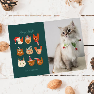 Meowy & Bright Winter Cats写真クリスマス シーズンカード