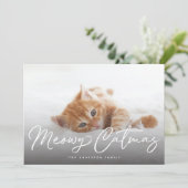 Meowy Catmas Catの写真 シーズンカード (スタンド正面)