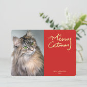 Meowy Catmas Cat写真おもしろいクリスマスカード シーズンカード (スタンド正面)