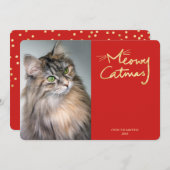 Meowy Catmas Cat写真おもしろいクリスマスカード シーズンカード (正面/裏面)